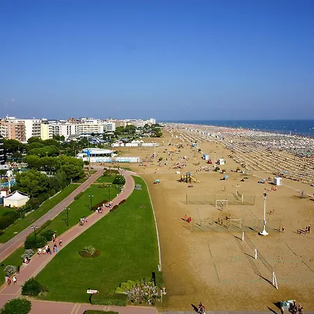 Lira Bibione